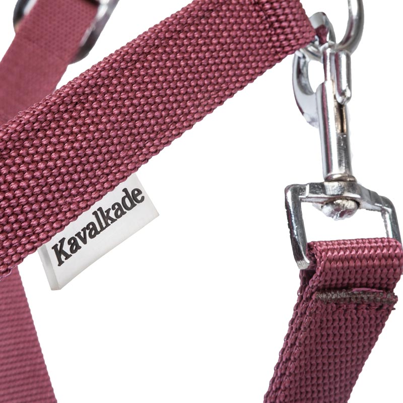 Perlon-Halfter "Classic"