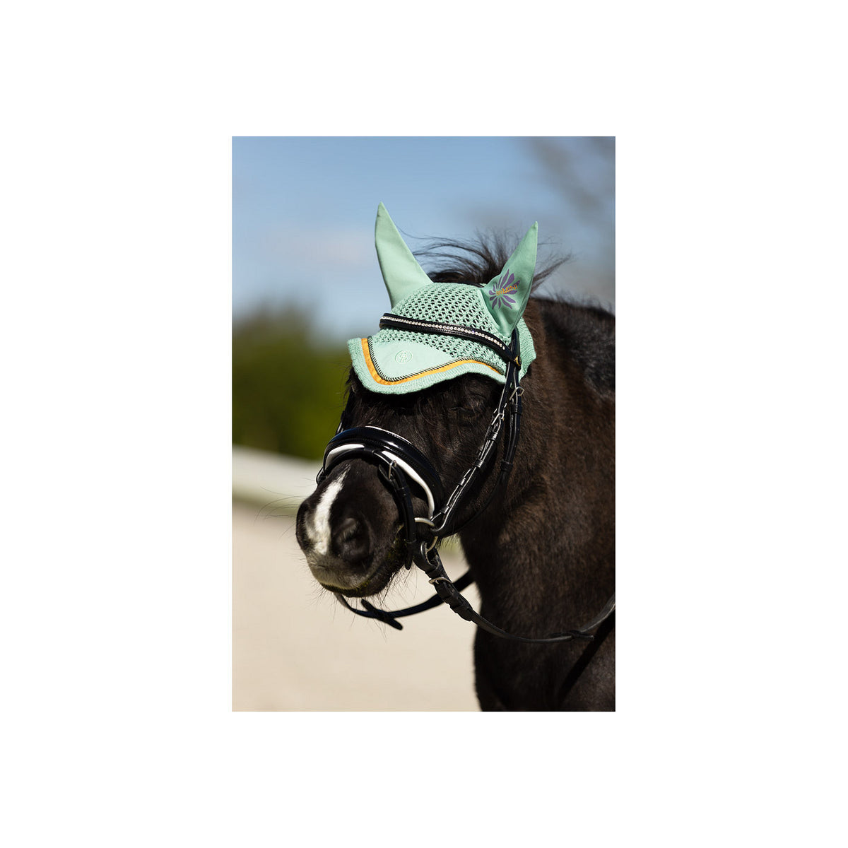 BR Mini Horse Ohrenhaube