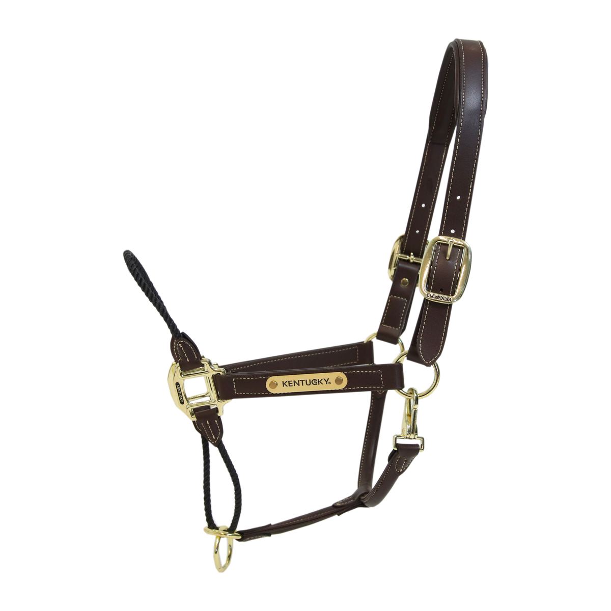 Lederhalfter Rope