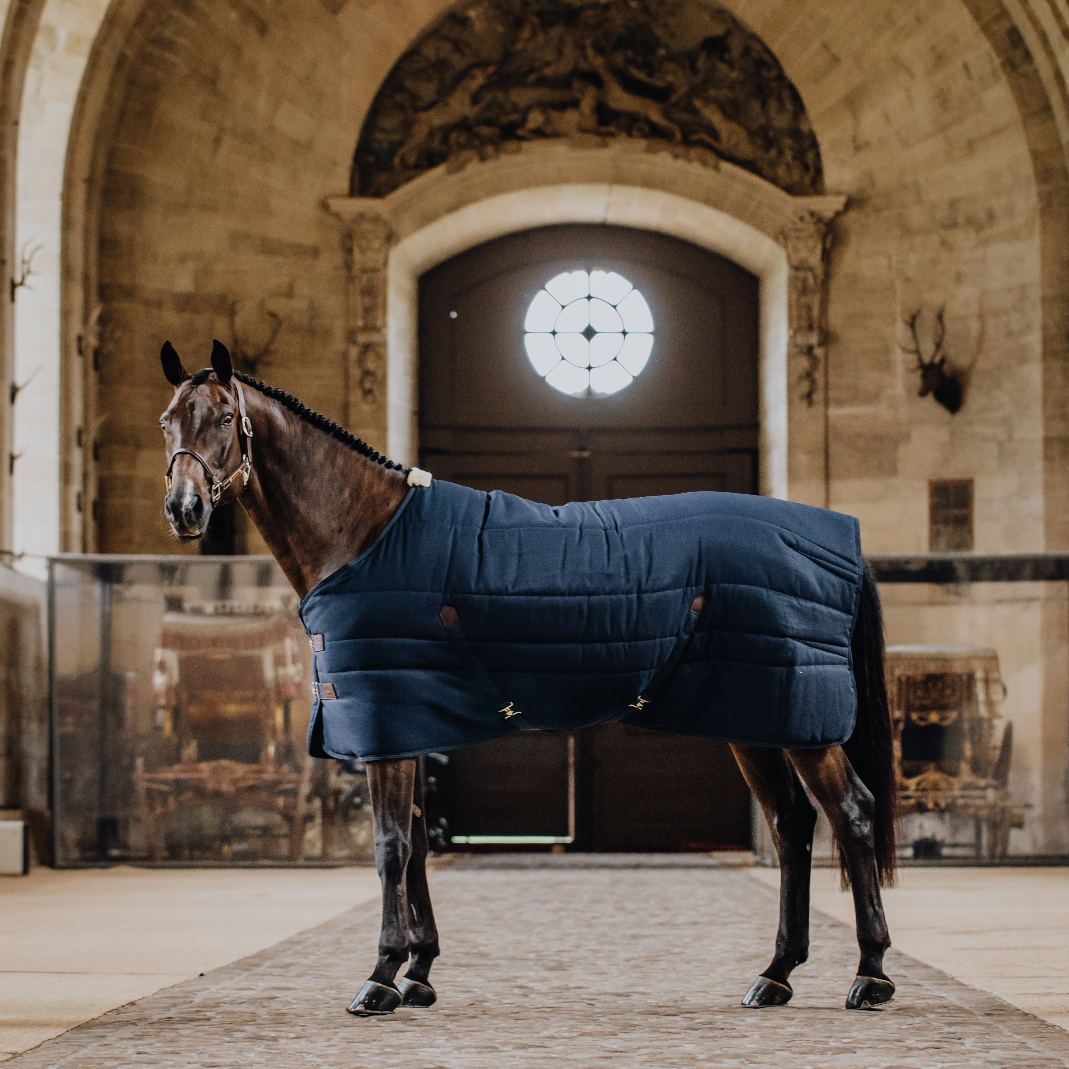 Stalldecke Classic 165 3