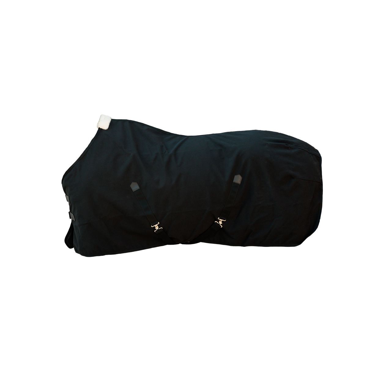 Canvas Decke 125 5