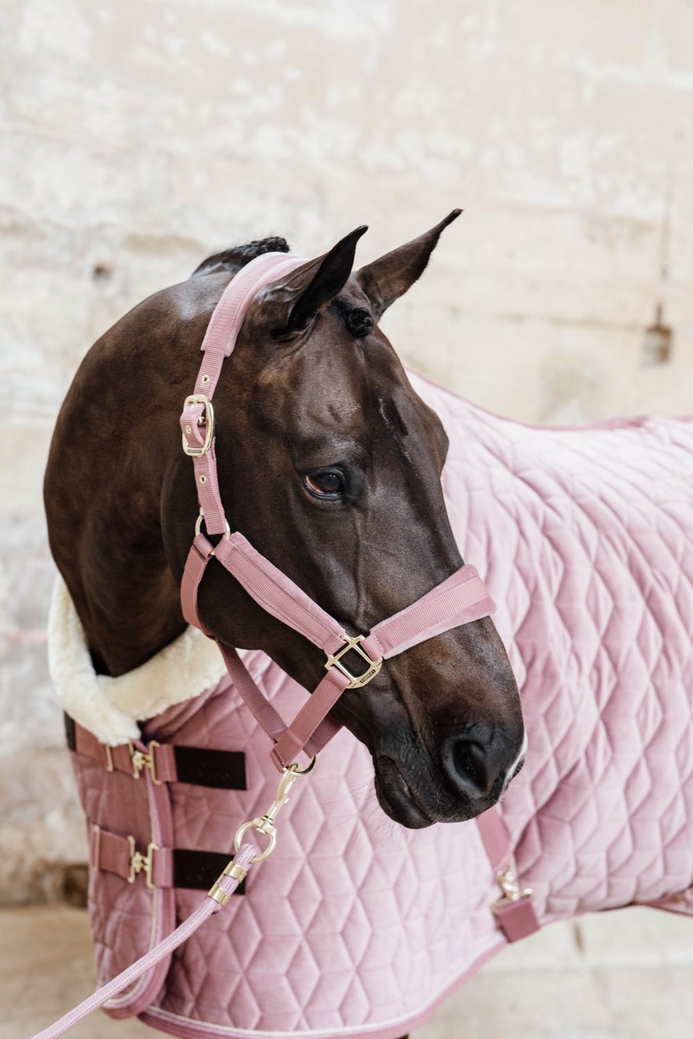 Führstrick Basic - Kentucky Horsewear