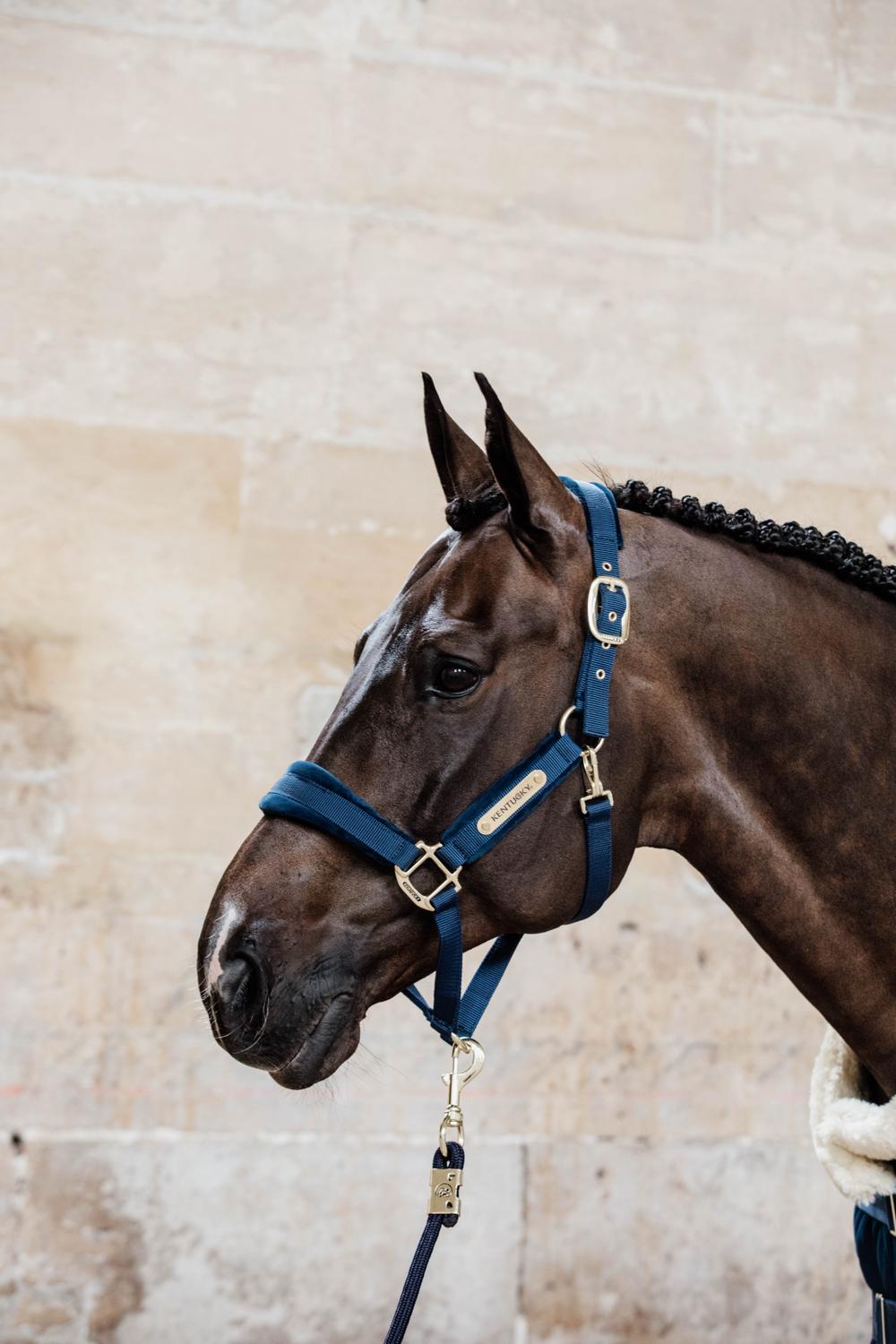 Führstrick Basic - Kentucky Horsewear