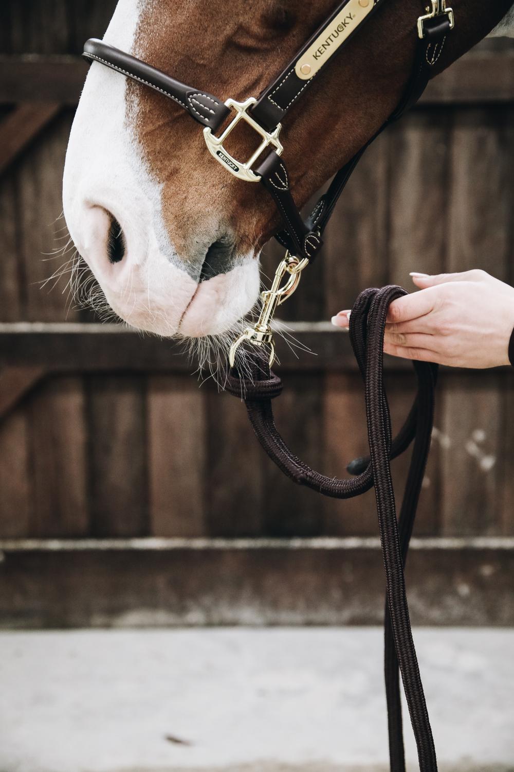 Führstrick Loop - Kentucky Horsewear