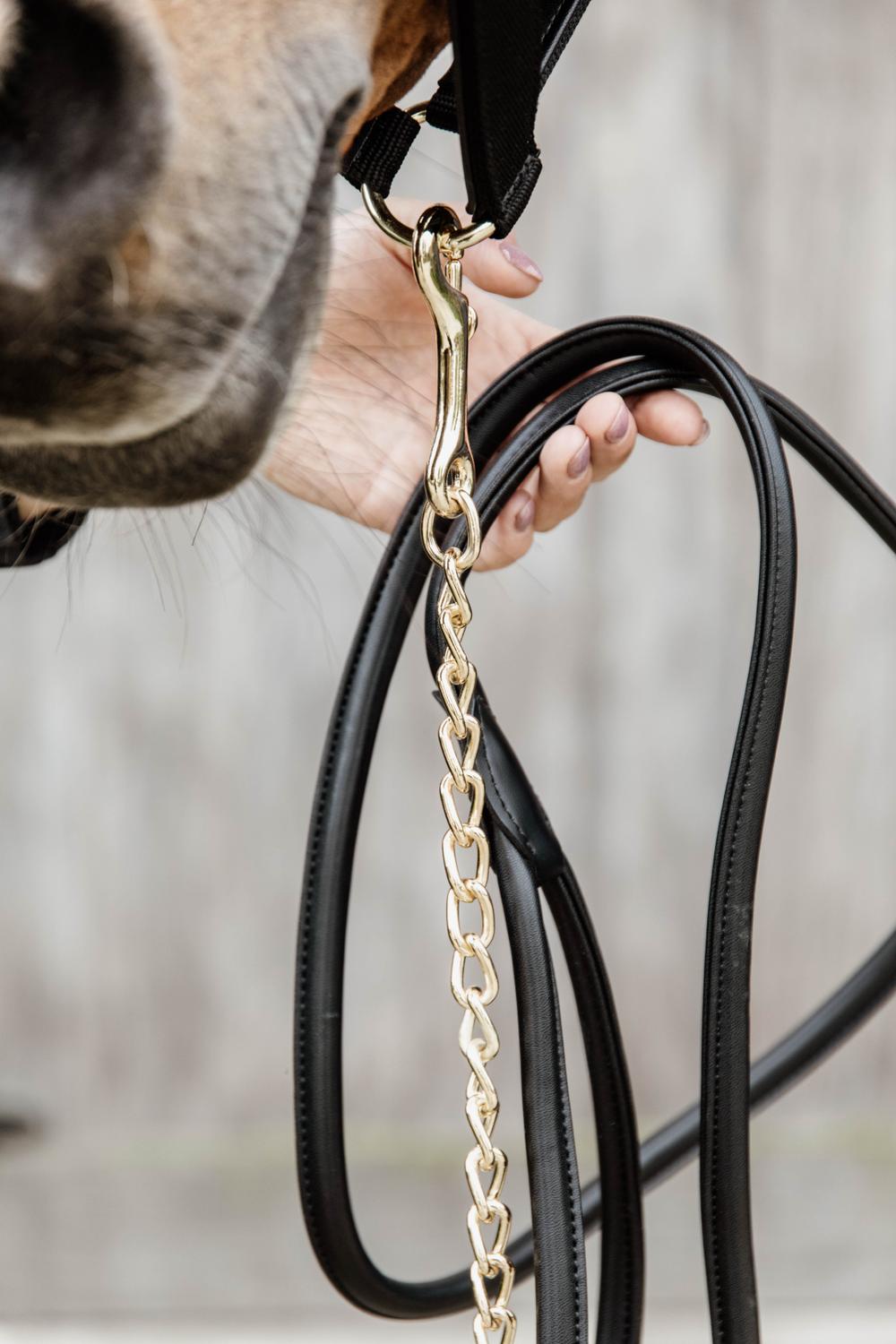 Führleine Leder Mit Kette - Kentucky Horsewear