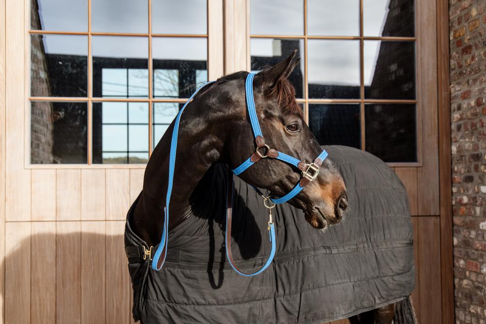 Leine Plaited Nylon - Kentucky Horsewear