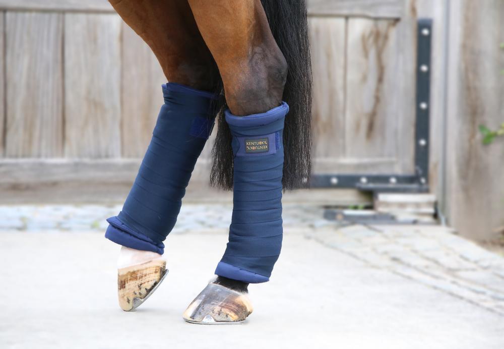 Stall Bandagierunterlagen - Kentucky Horsewear