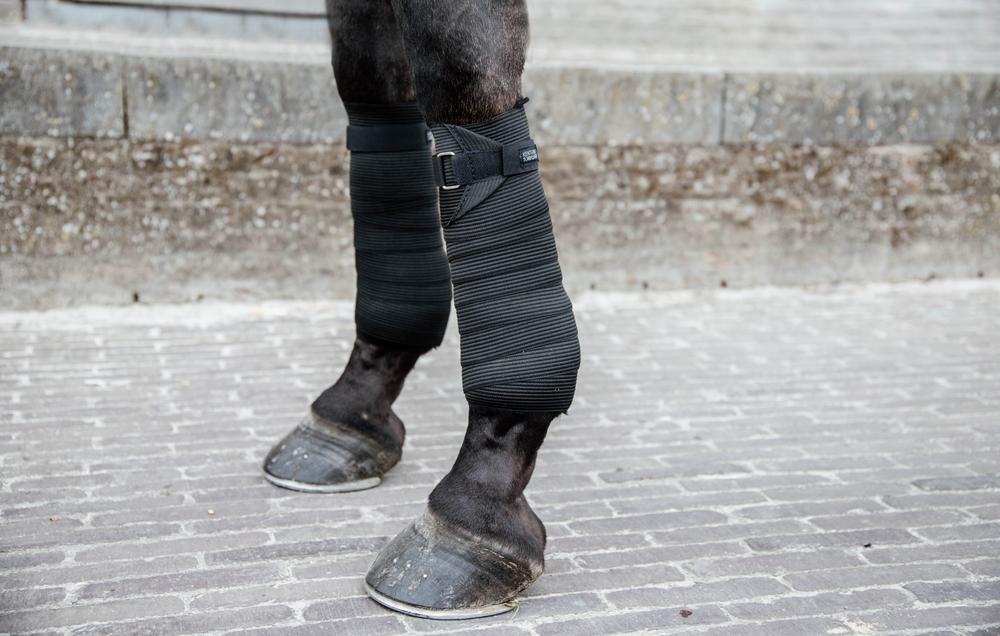 Fleece & Elastik Bandagen - Kentucky Horsewear