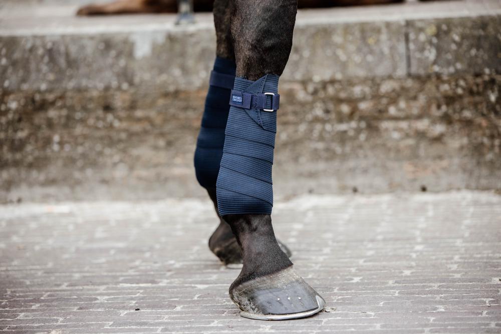 Elastik Bandagen - Kentucky Horsewear