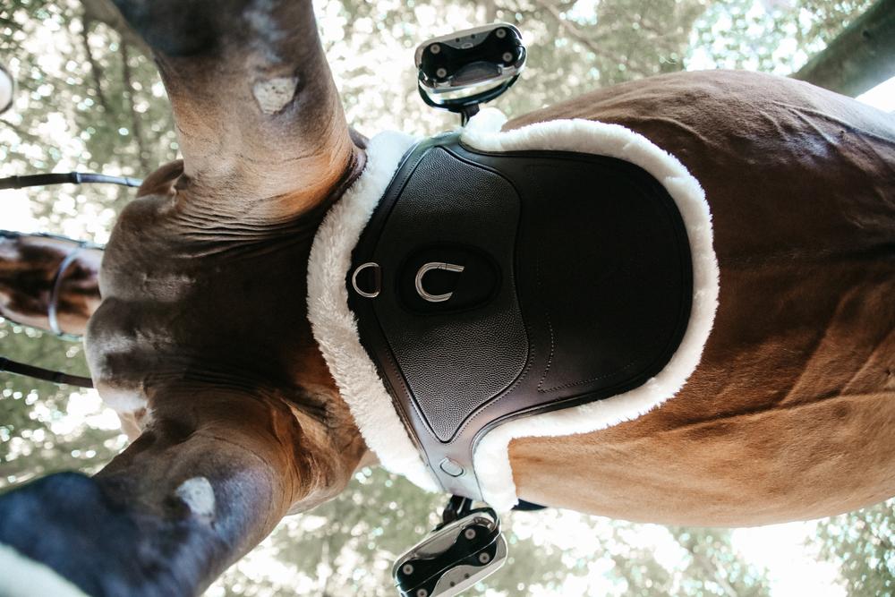 Lammfell Stollengurt Spezial - Kentucky Horsewear