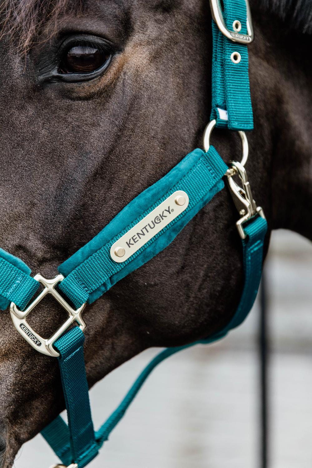Velvet Halfter - Kentucky Horsewear