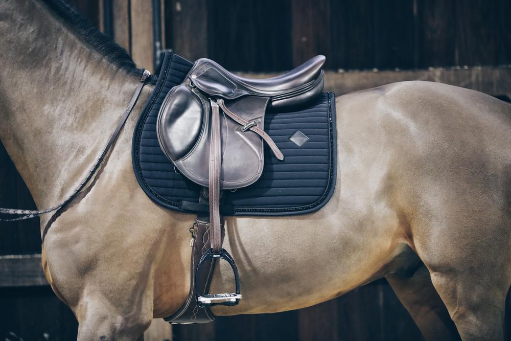 Schabracke Pearls Springen - Kentucky Horsewear