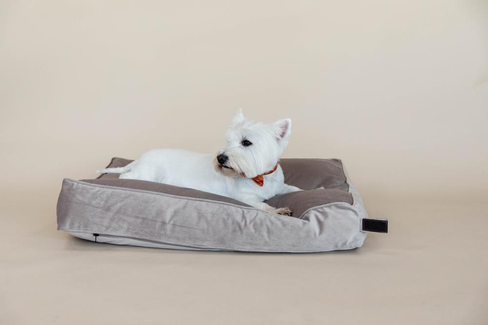 Hundekissen Velvet - Kentucky Dogwear