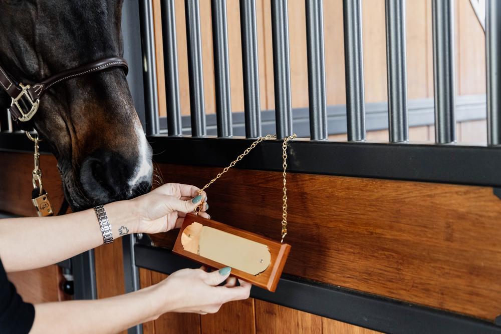 Stallplakette - Grooming Deluxe
