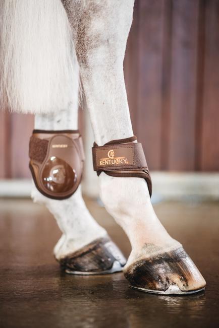 Streichkappe Young Horse - Kentucky Horsewear