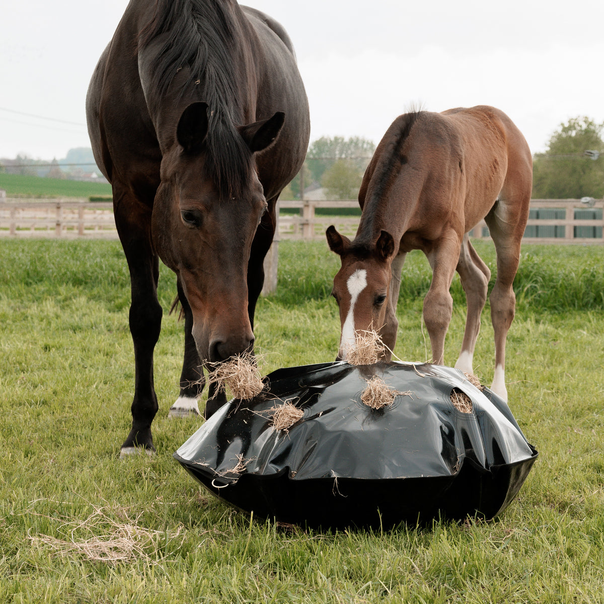 Spiel Heusack Slowfeeder Rund