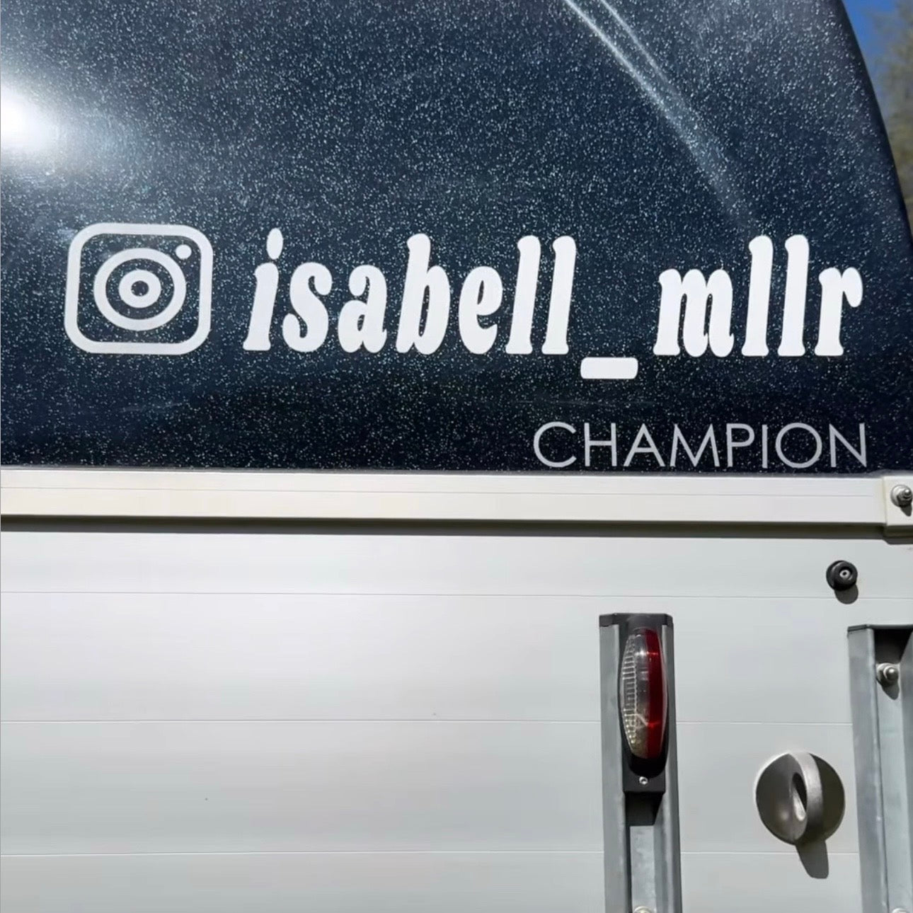 Social Media Pferdeanhänger Aufkleber - Instagram / Tik Tok