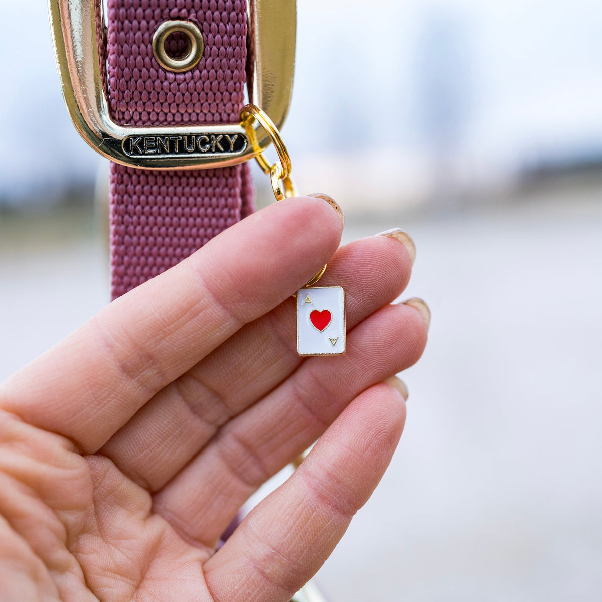 ACE OF LUCK Charm
