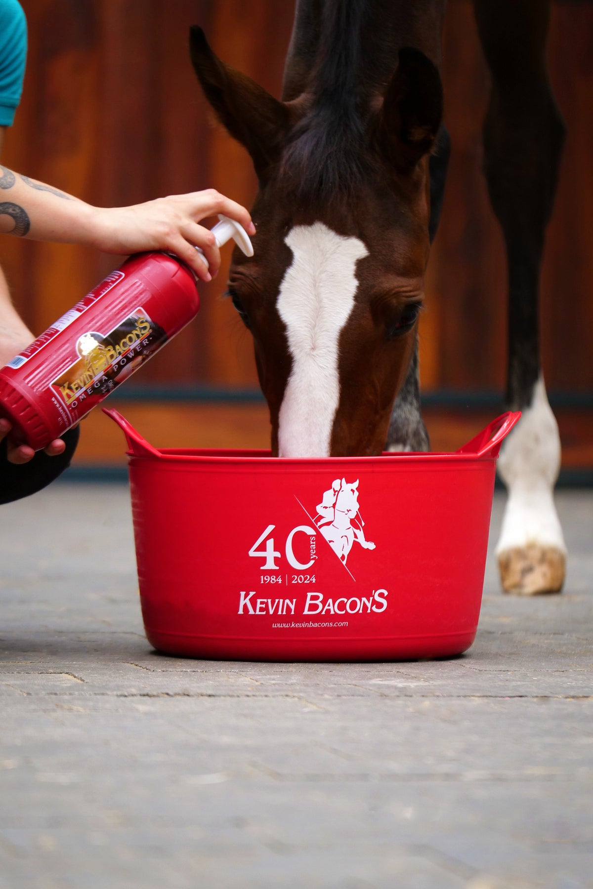 kevin bacons Omega Power 1L 6 pcs
