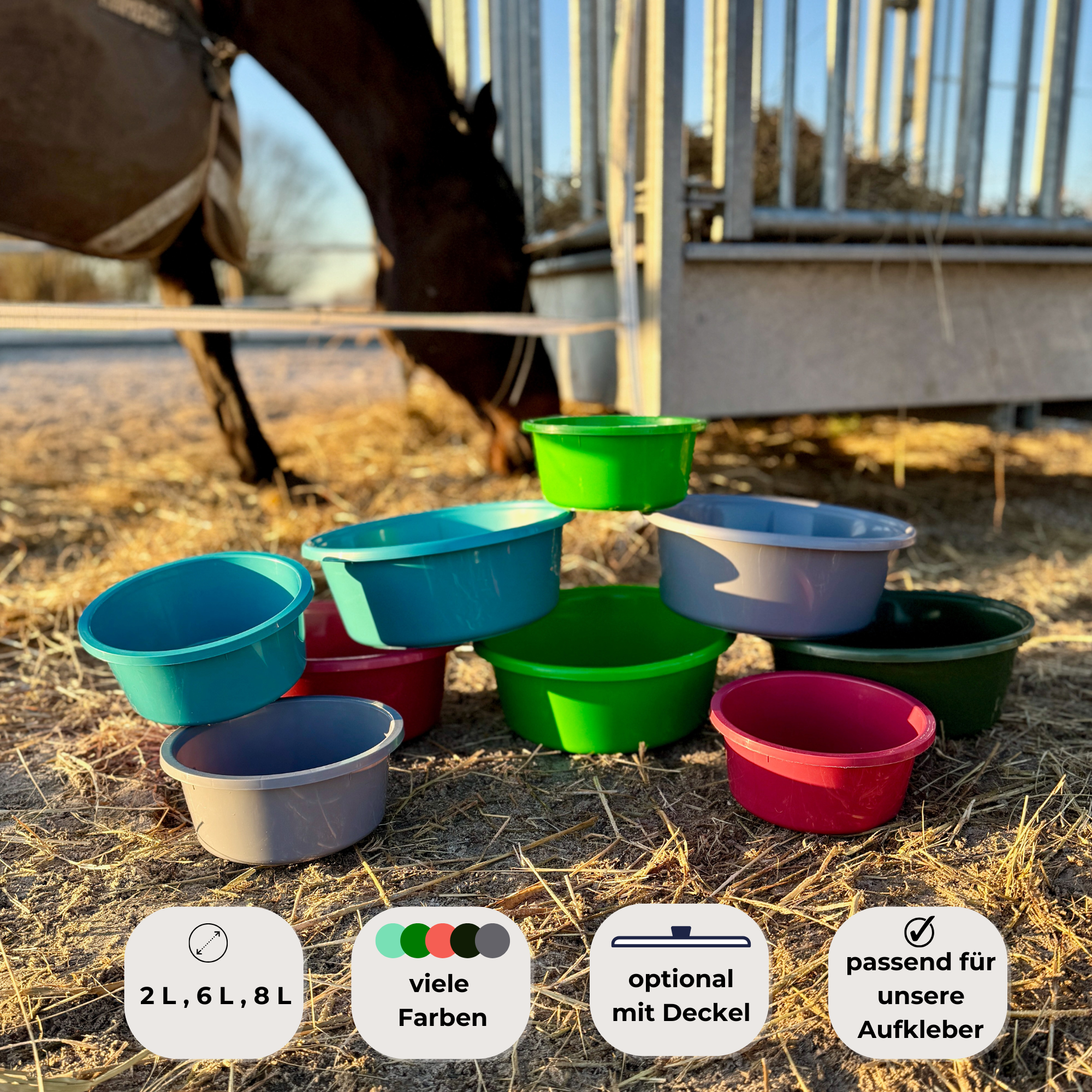 Futterschüssel für Pferde