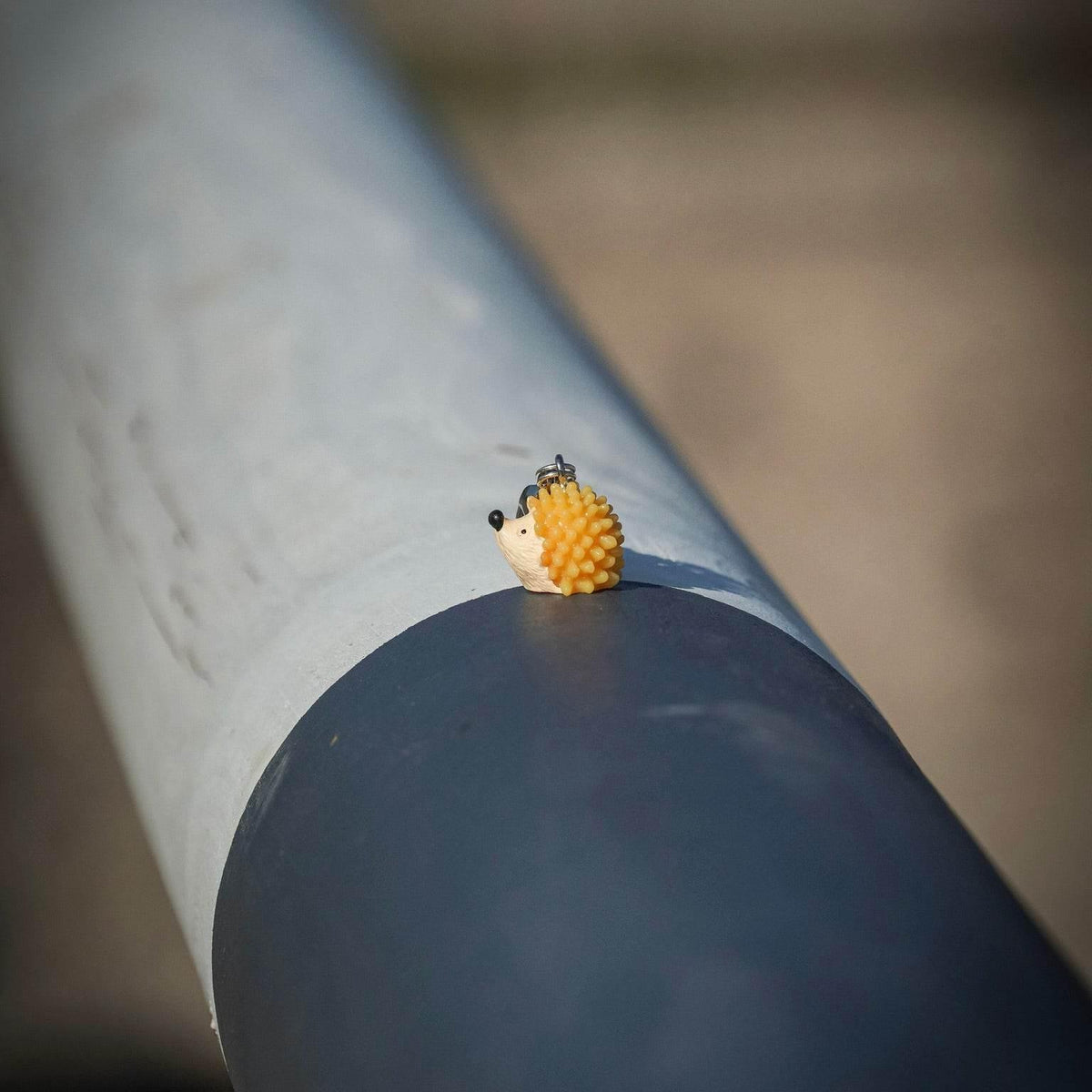 IGEL Charm