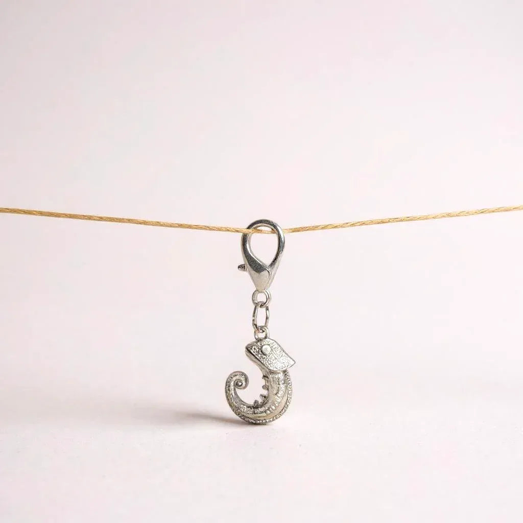 CHAMELEON Charm