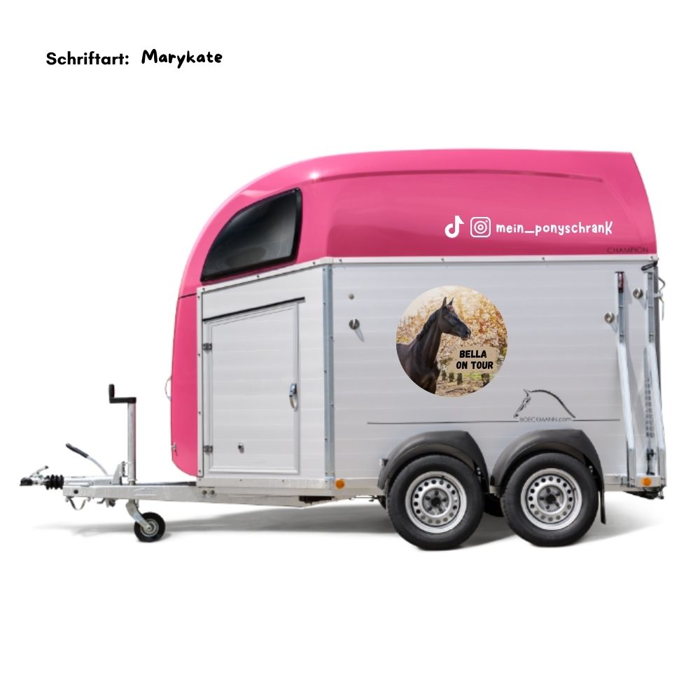 Social Media Pferdeanhänger Aufkleber - Instagram / Tik Tok