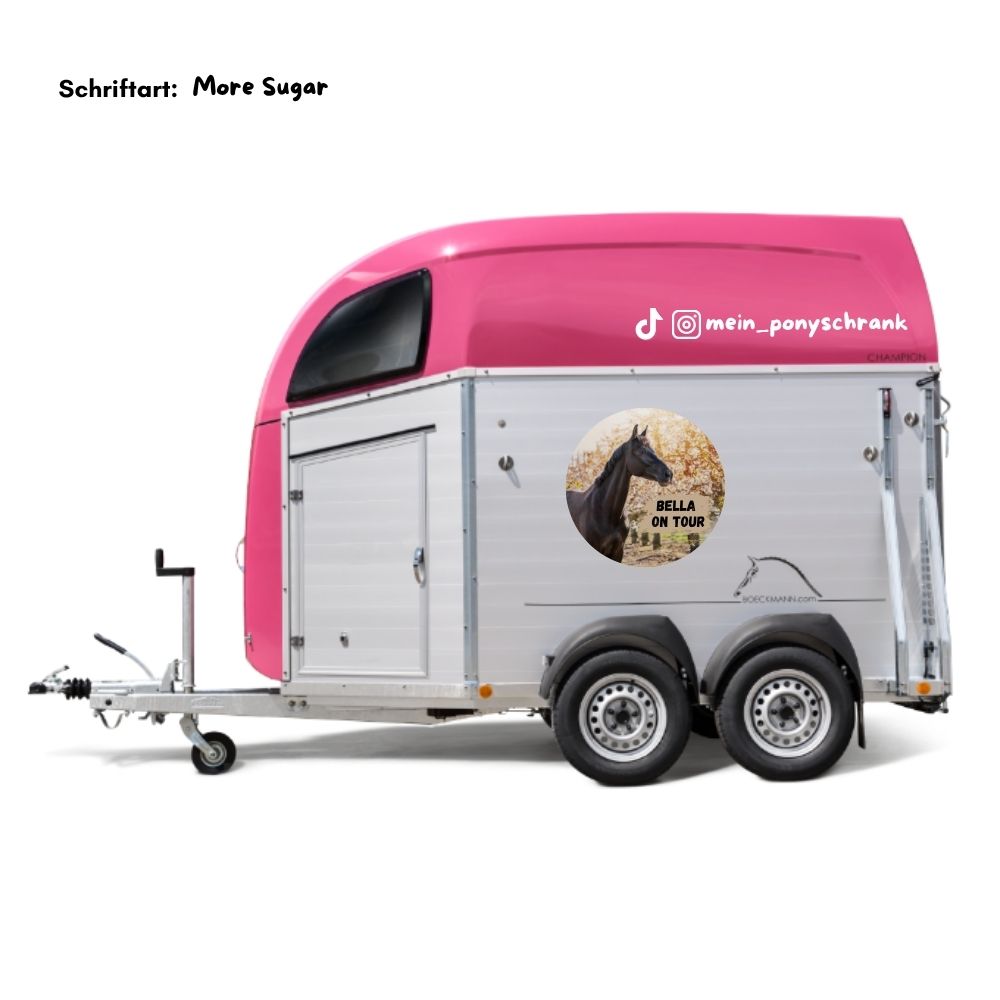 Social Media Pferdeanhänger Aufkleber - Instagram / Tik Tok