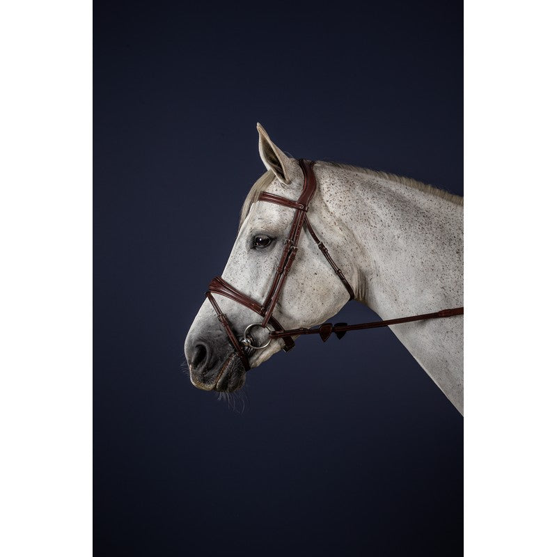 Anatomische Trense mit kombiniertem Reithalfter NEW ENGLISH Collection