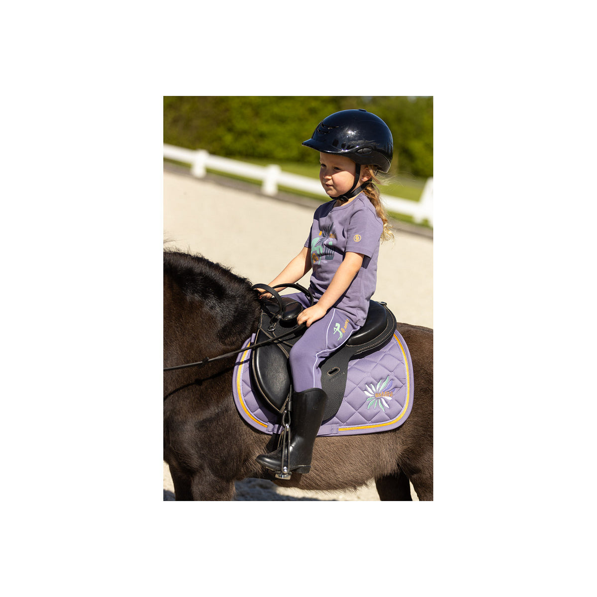 BR Mini Horse Schabracke