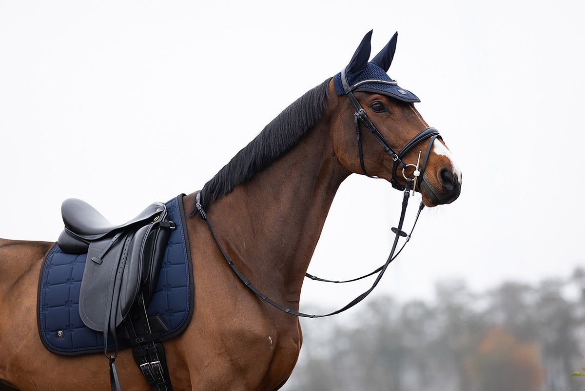 BR CLX Schabracke Dressur