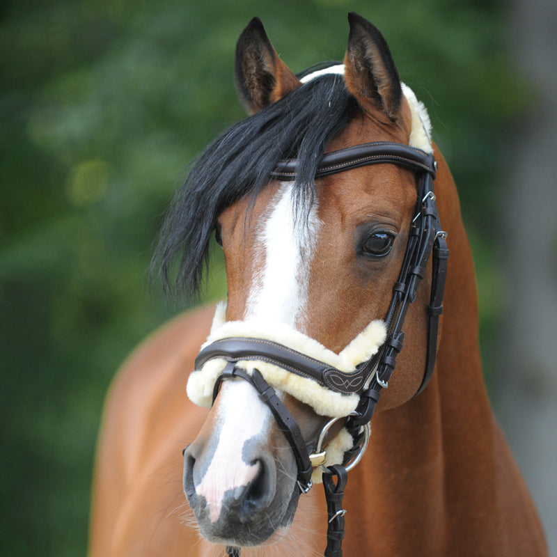 Trense "Ivy Lammfell" eng.-komb.