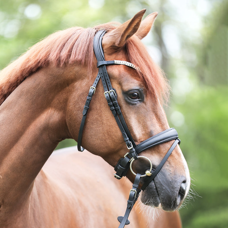 Trense geöltes Leder "Everlyn" schwed.-komb.