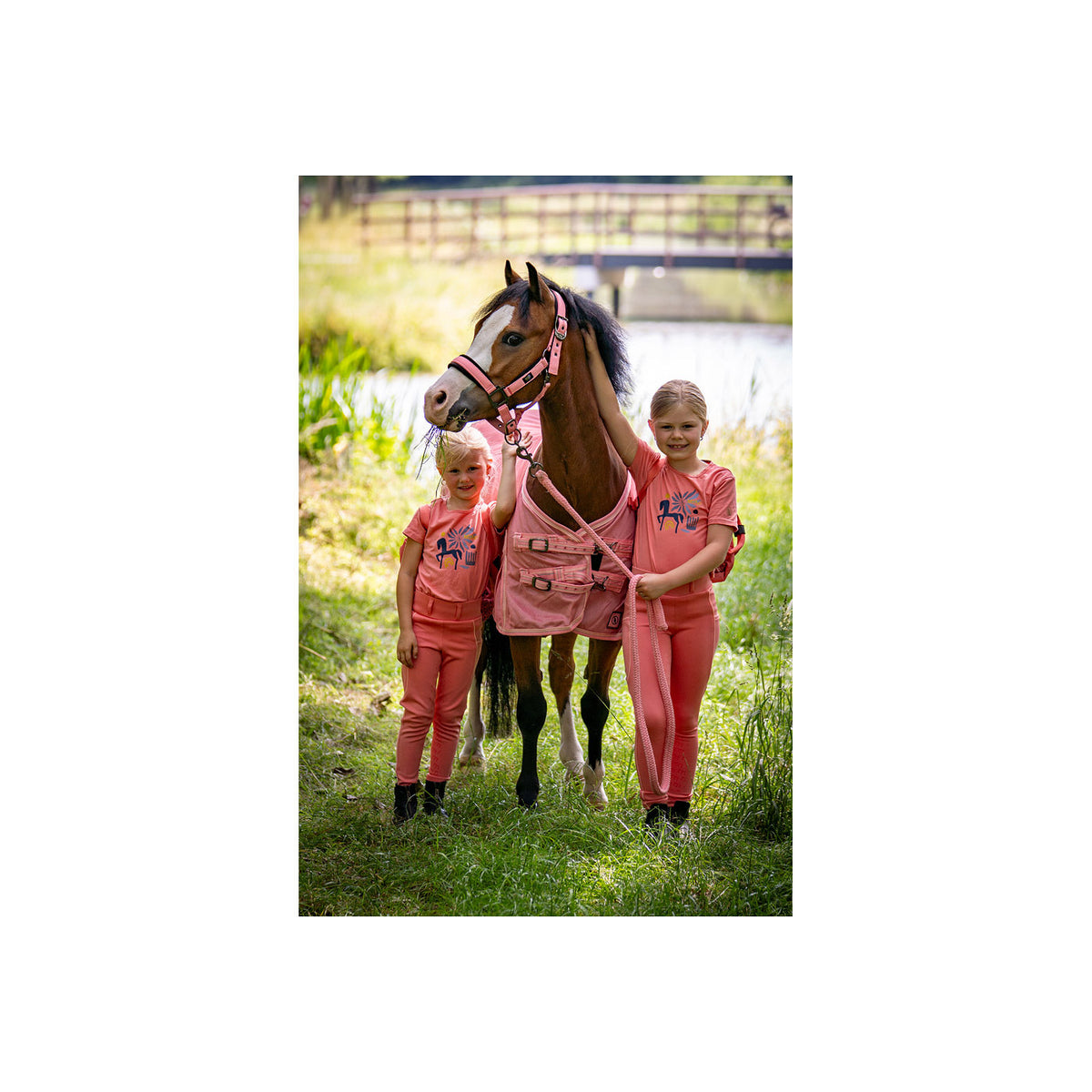 BR Mini Horse Halfter mit Anbindestrick