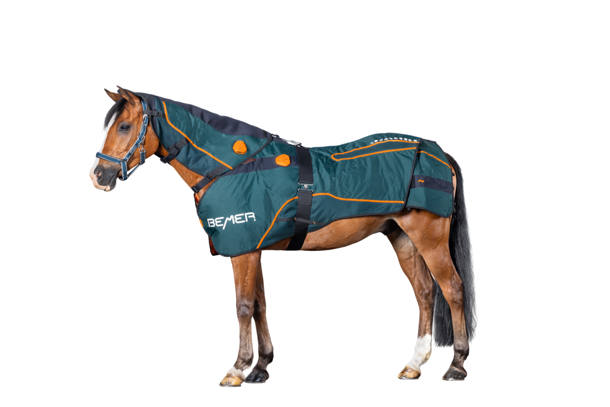 Bemer Horse Set mieten / leihen