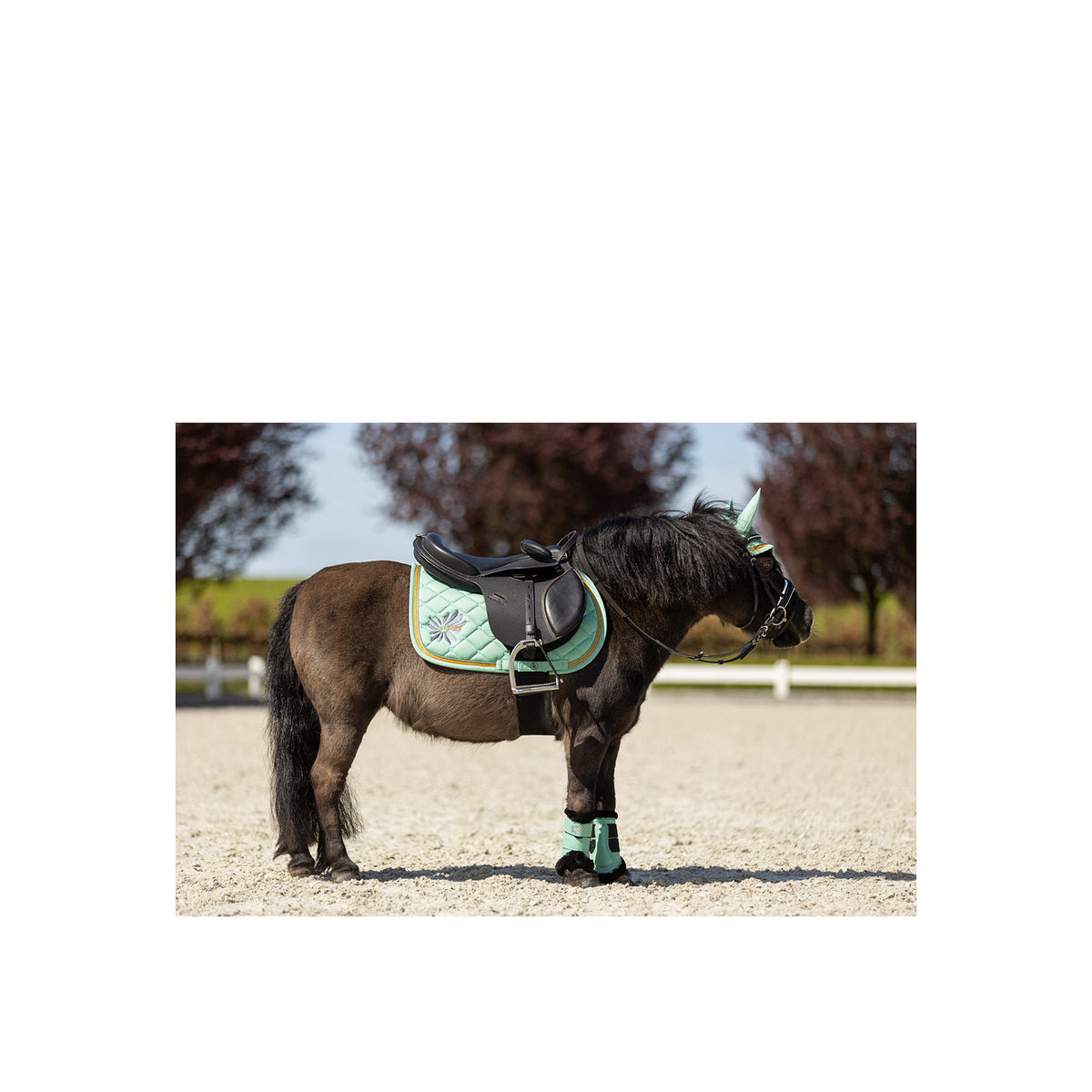 BR Mini Horse Majestic Gamaschen