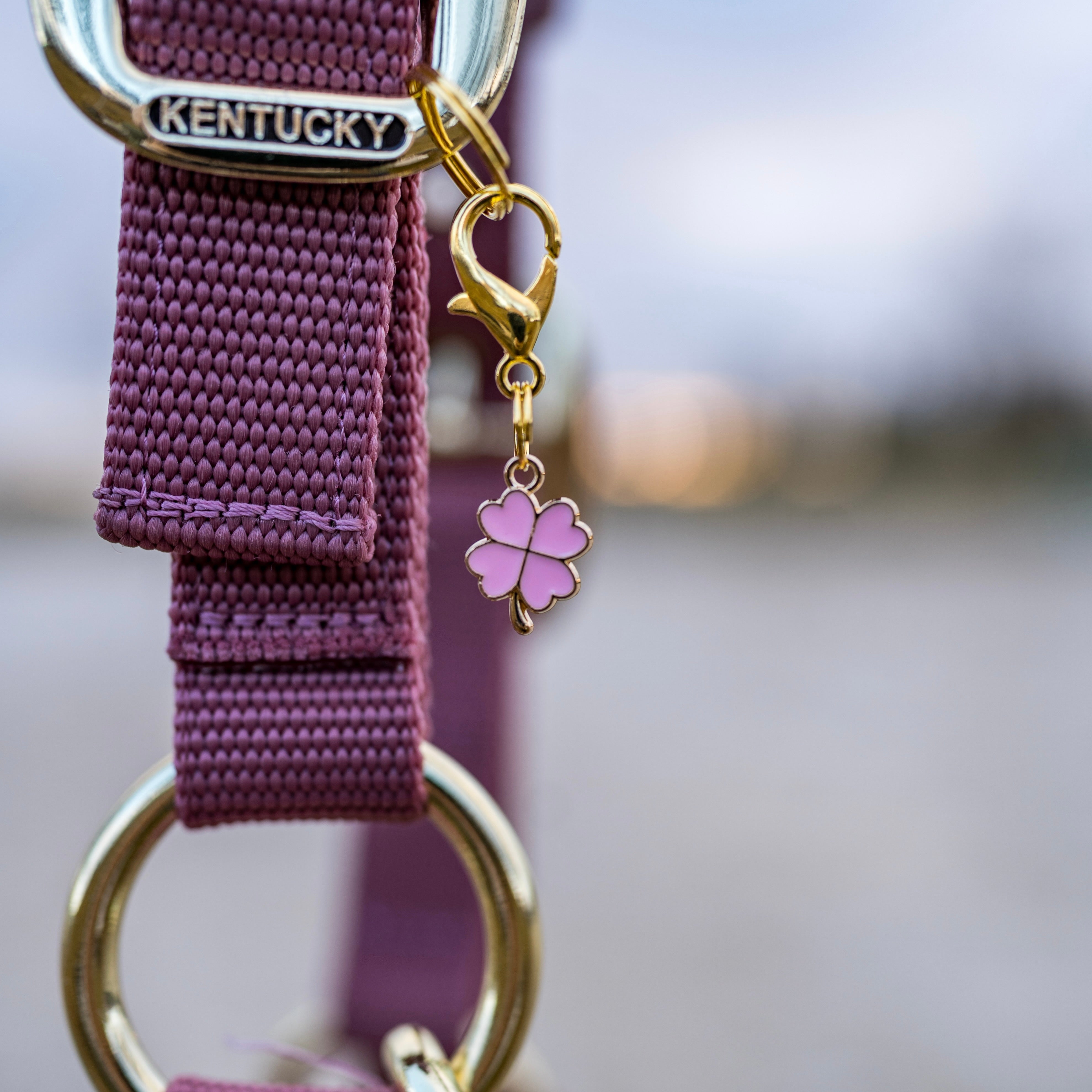GLÜCKSKLEE Charm