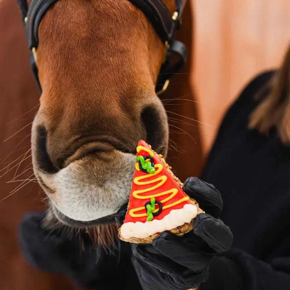 PIZZA SLICE Leckerlies - Pony Bueno