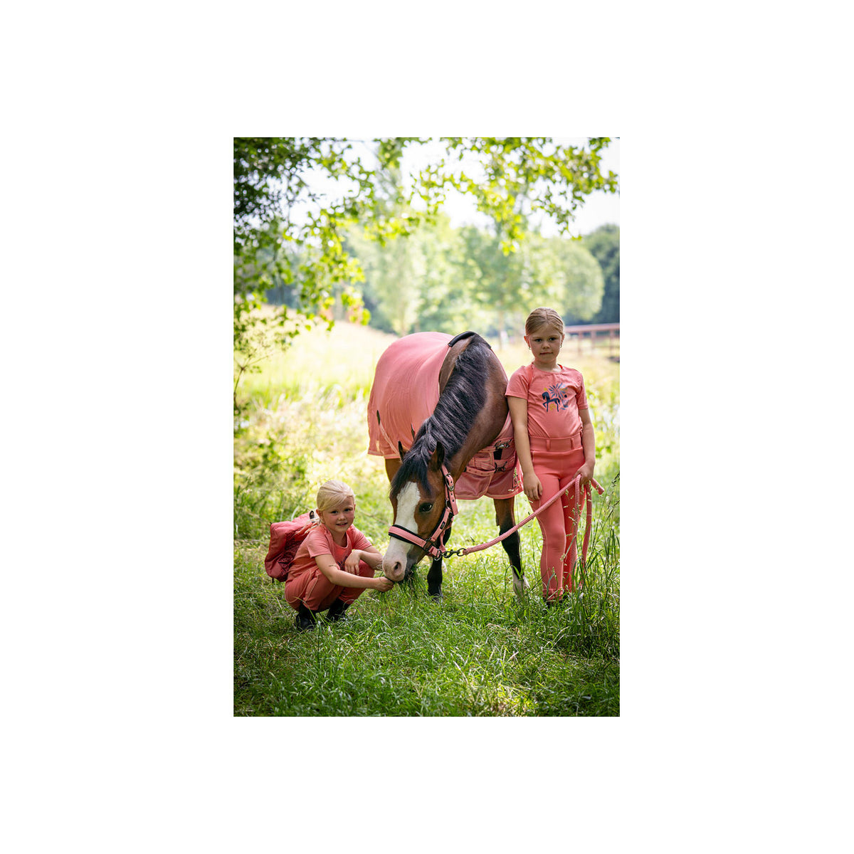 BR Mini Horse Fliegendecke