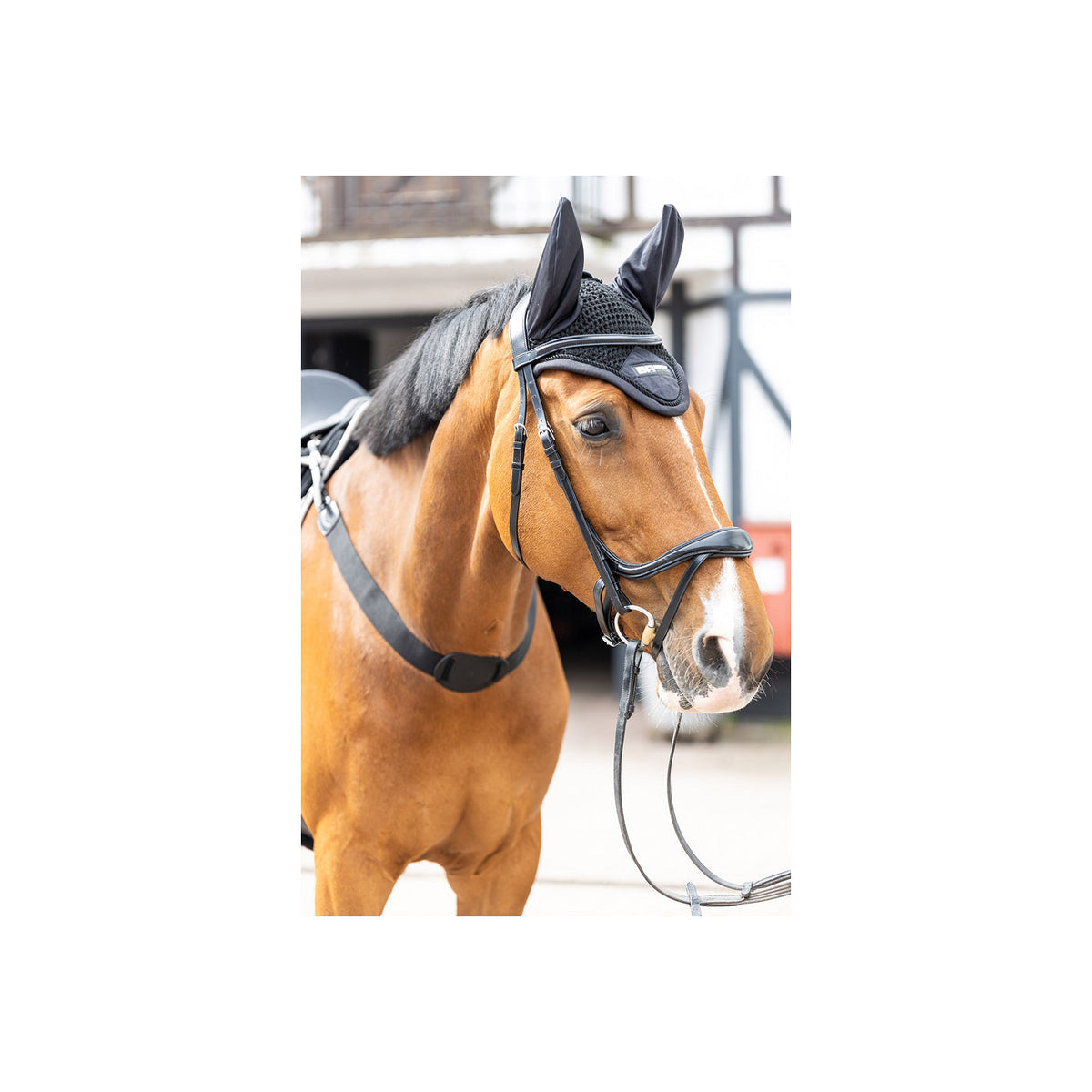 BR Ohrenhaube Flex