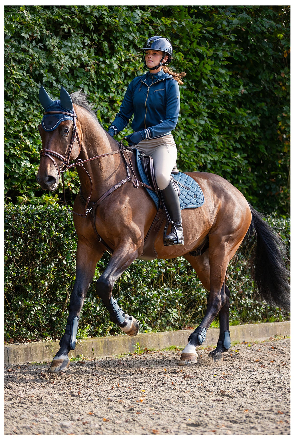 BR Ohrenhaube Lotte