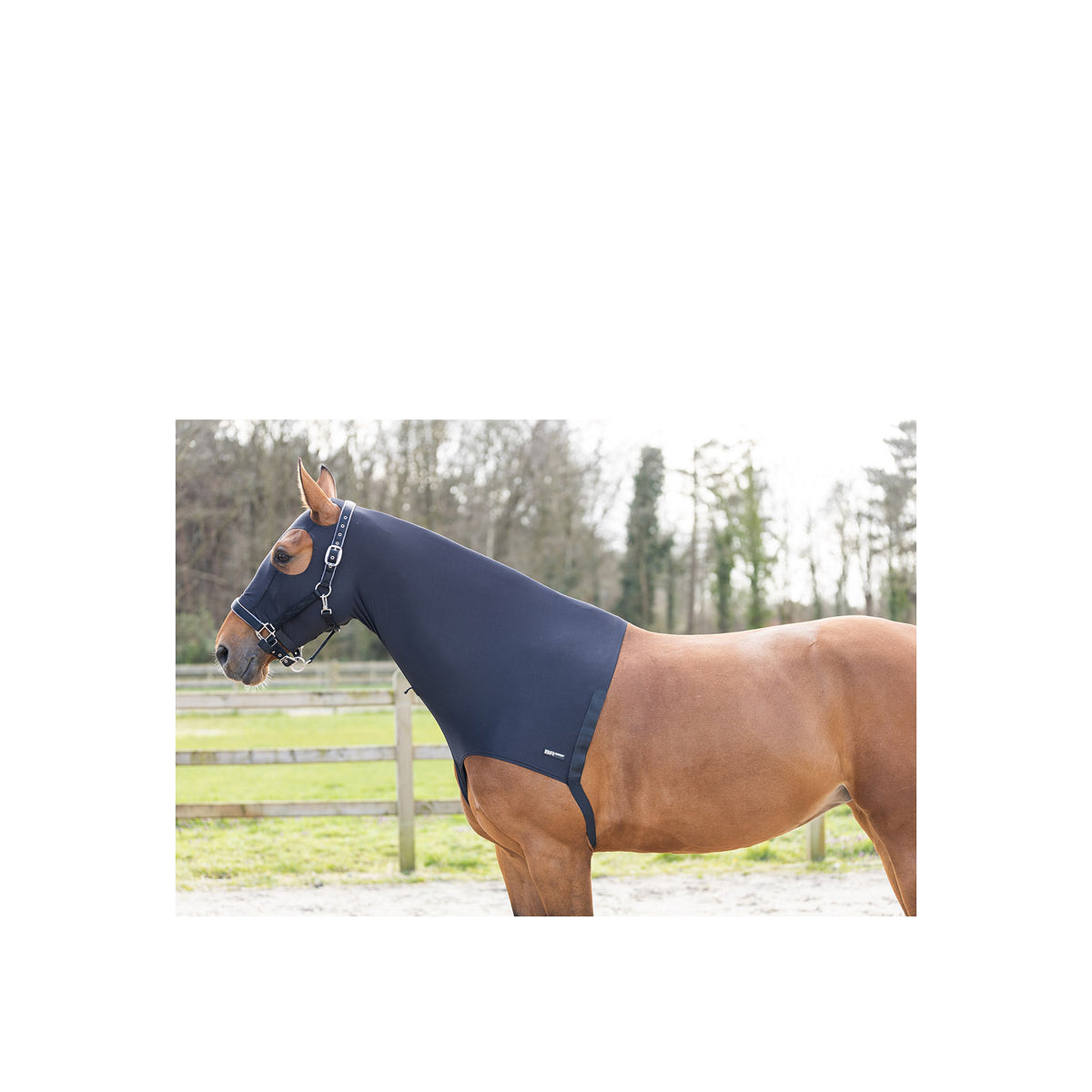 BR Nackenschutz Soft Motion mit Kopfteil
