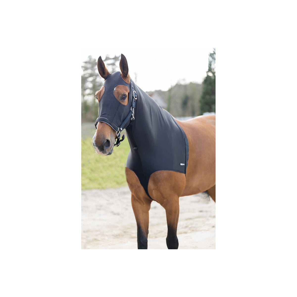 BR Nackenschutz Soft Motion mit Kopfteil