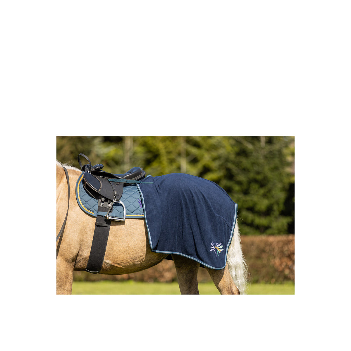 BR Mini-Horse Ausreitdecke
