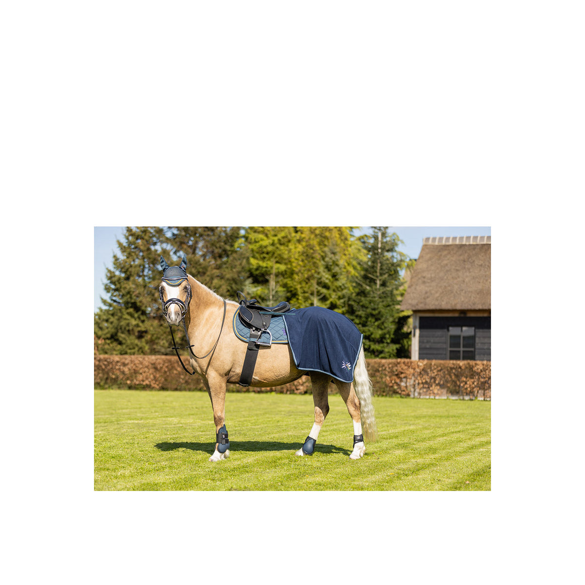 BR Mini-Horse Ausreitdecke