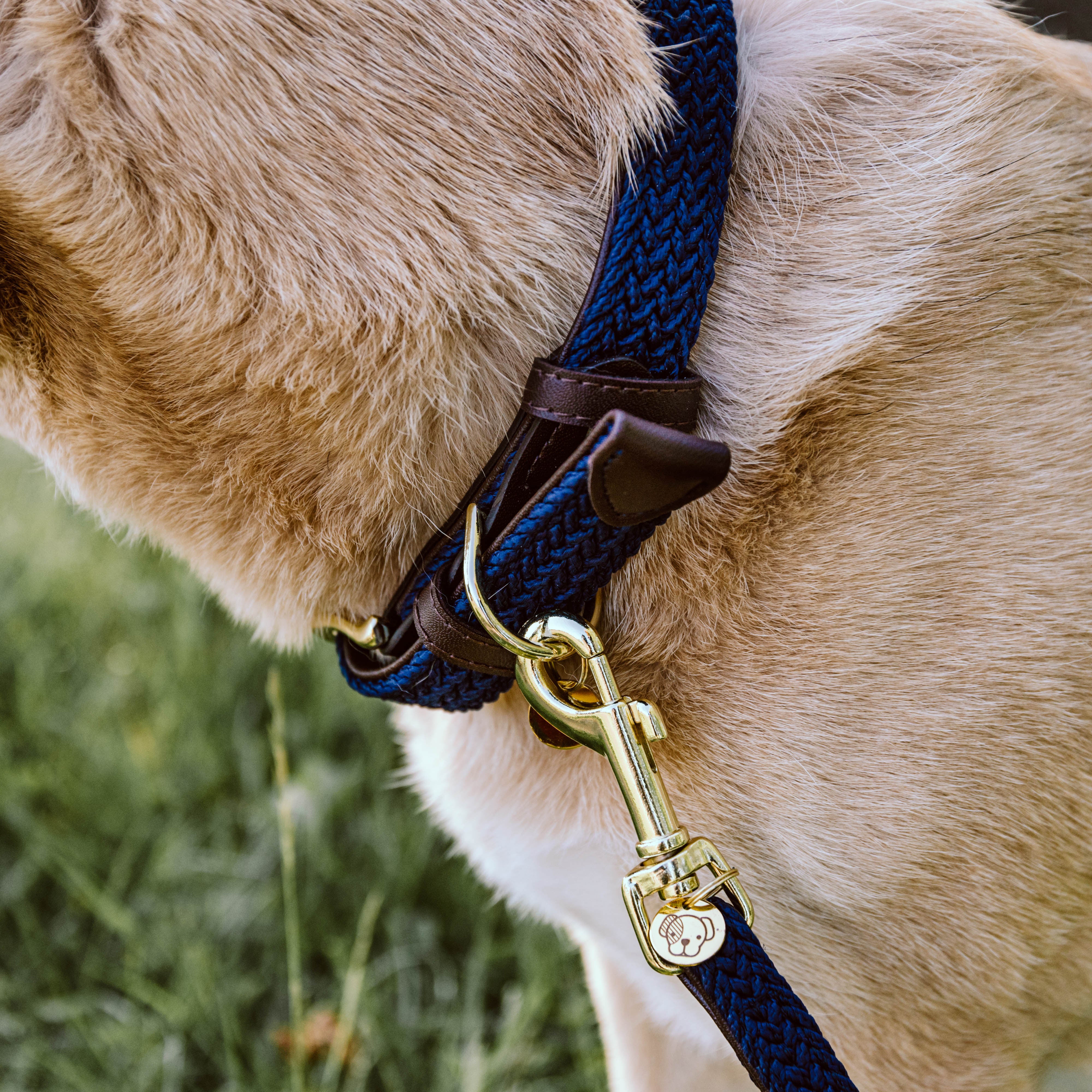 Geflochten Nylon Hundehalsband
