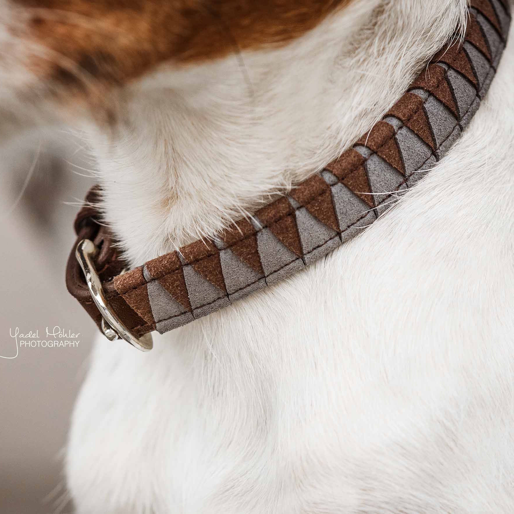 Hunde Halsband Triangle