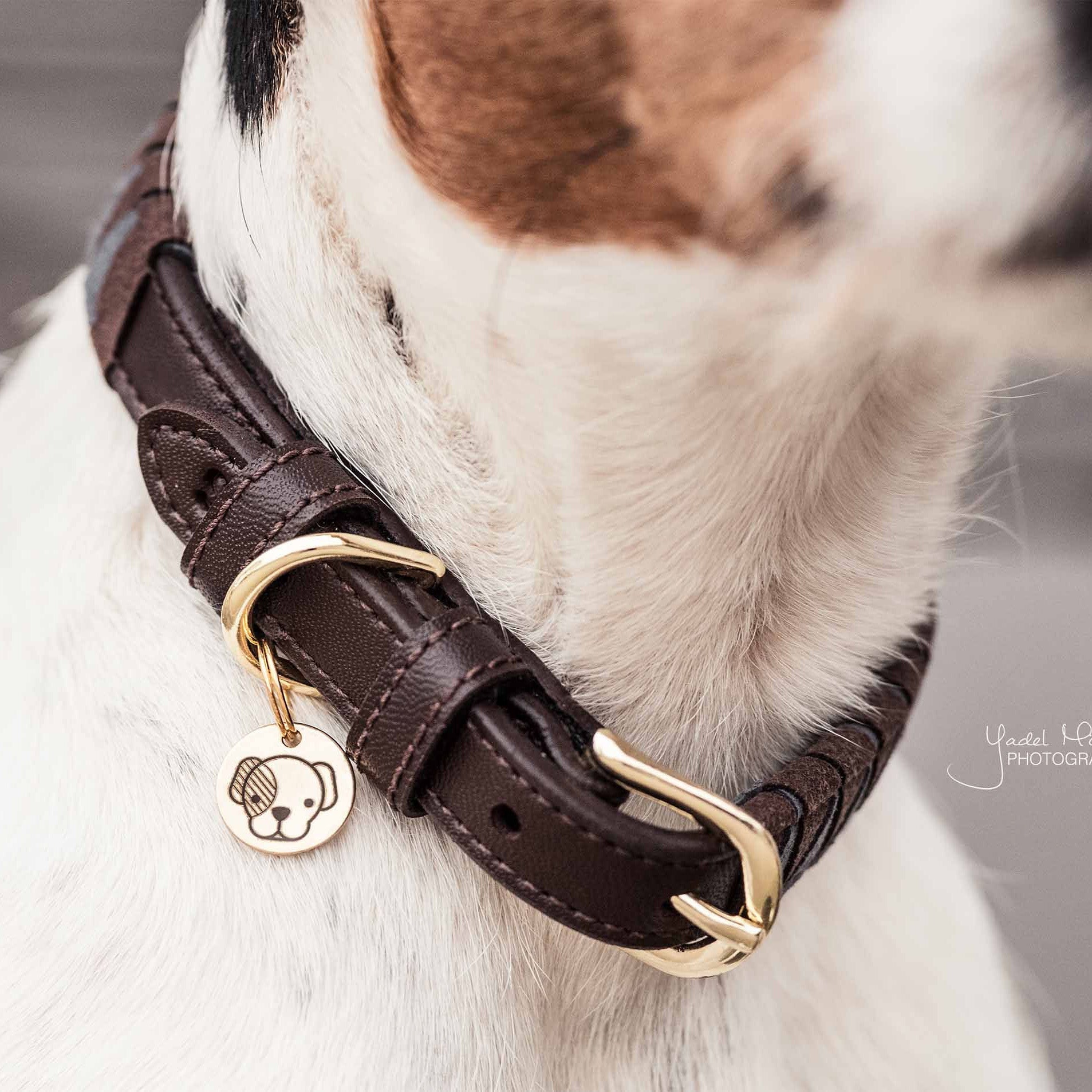 Hunde Halsband Triangle