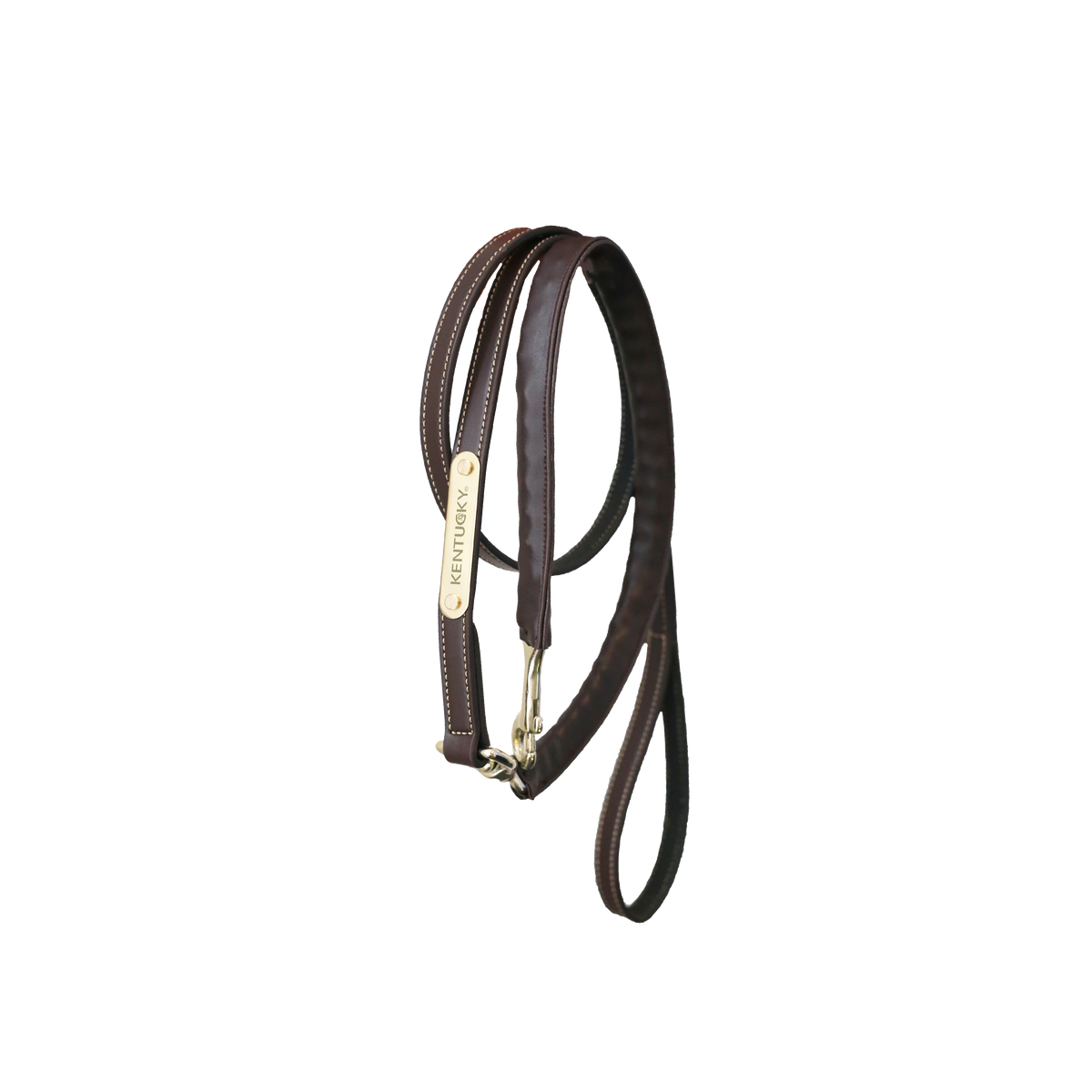 Führleine Leather Covered Chain