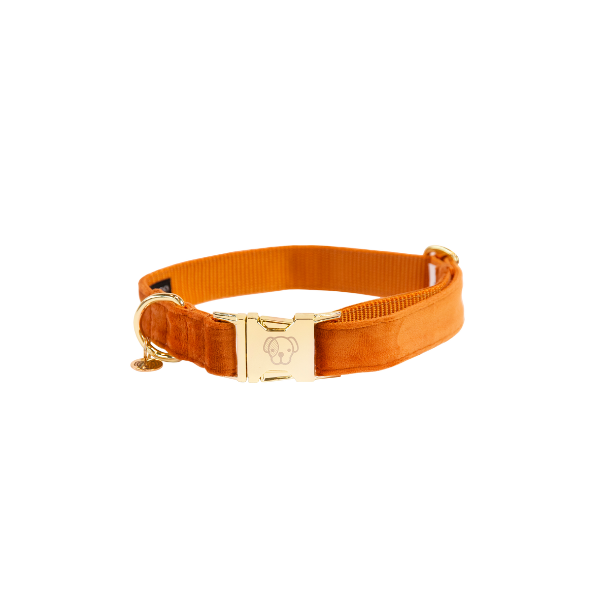 Hundehalsband Velvet